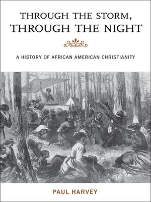 cover image of Through the Storm, Through the Night